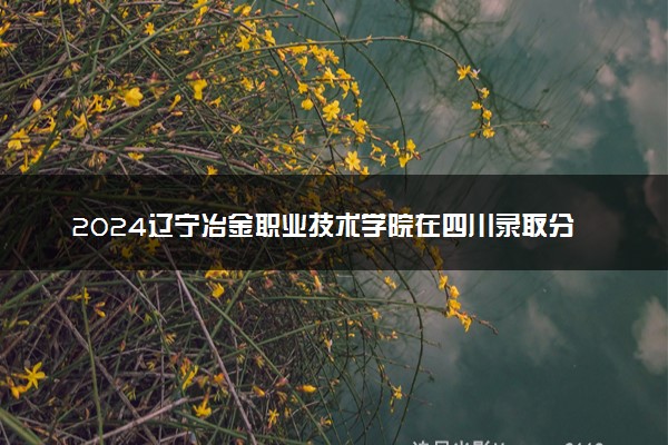 2024辽宁冶金职业技术学院在四川录取分数线 各专业分数及位次