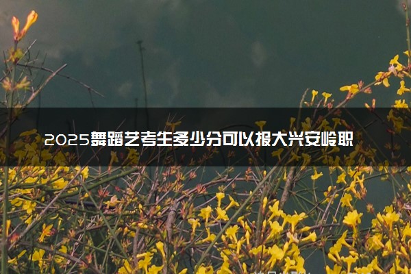 2025舞蹈艺考生多少分可以报大兴安岭职业学院