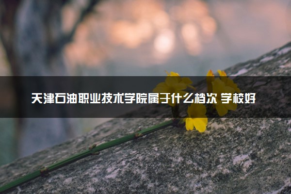 天津石油职业技术学院属于什么档次 学校好不好