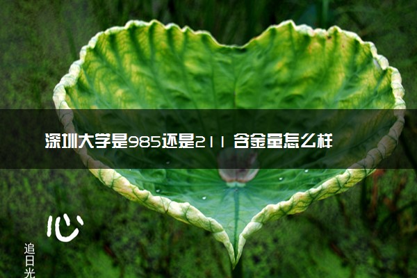 深圳大学是985还是211 含金量怎么样