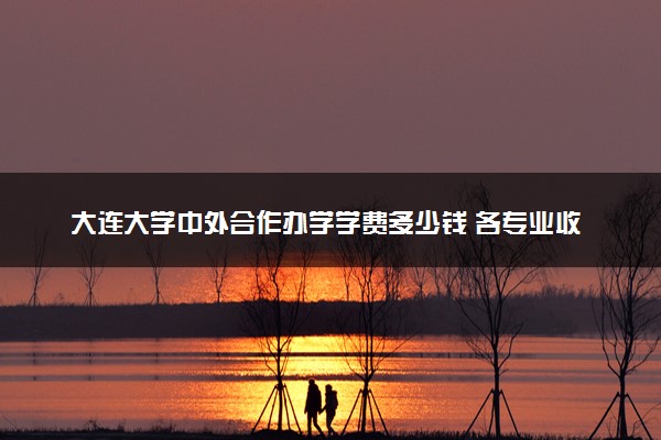 大连大学中外合作办学学费多少钱 各专业收费标准