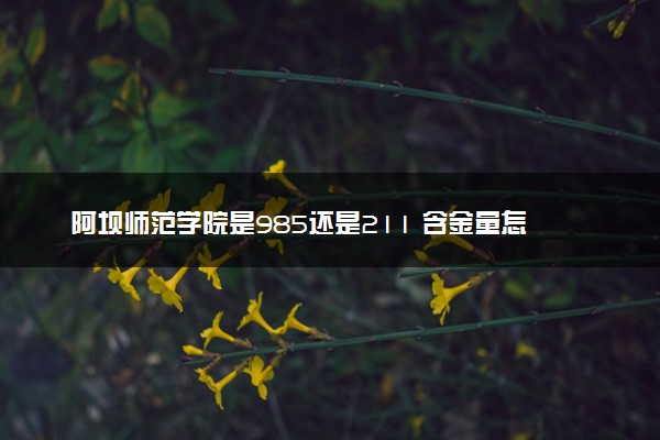 阿坝师范学院是985还是211 含金量怎么样