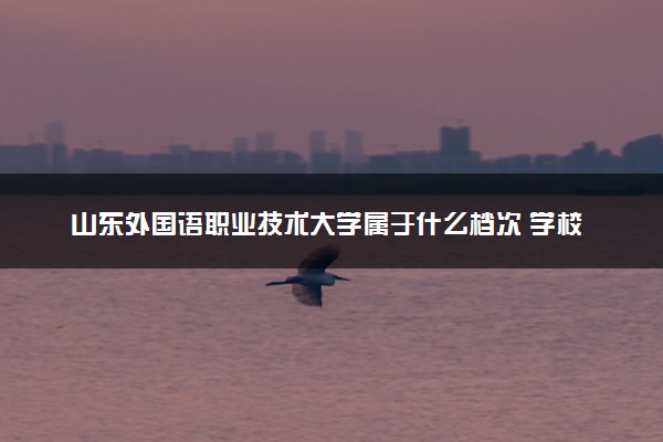 山东外国语职业技术大学属于什么档次 学校好不好