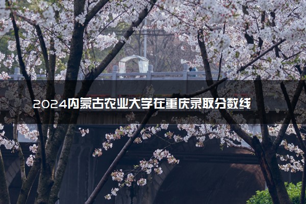2024内蒙古农业大学在重庆录取分数线 各专业分数及位次