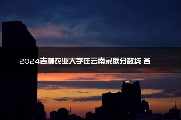 2024吉林农业大学在云南录取分数线 各专业分数及位次