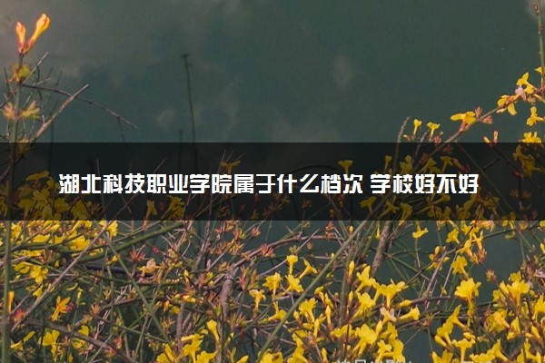 湖北科技职业学院属于什么档次 学校好不好