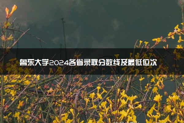鲁东大学2024各省录取分数线及最低位次是多少