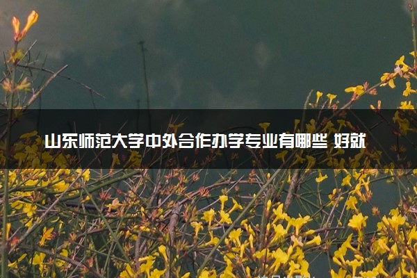 山东师范大学中外合作办学专业有哪些 好就业吗