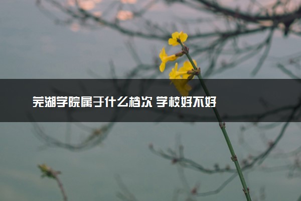 芜湖学院属于什么档次 学校好不好