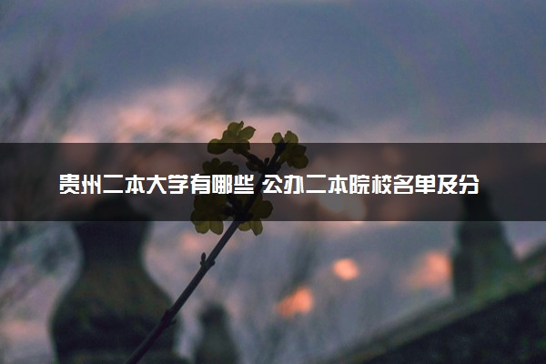 贵州二本大学有哪些 公办二本院校名单及分数线(2025参考)