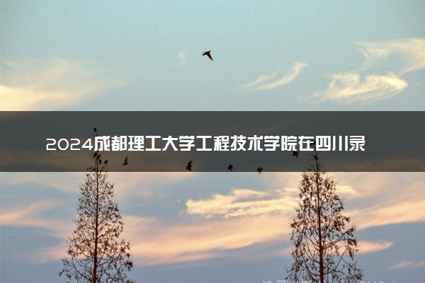 2024成都理工大学工程技术学院在四川录取分数线 各专业分数及位次