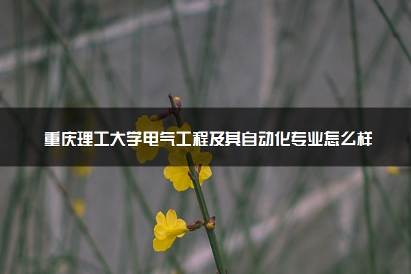 重庆理工大学电气工程及其自动化专业怎么样 录取分数线多少