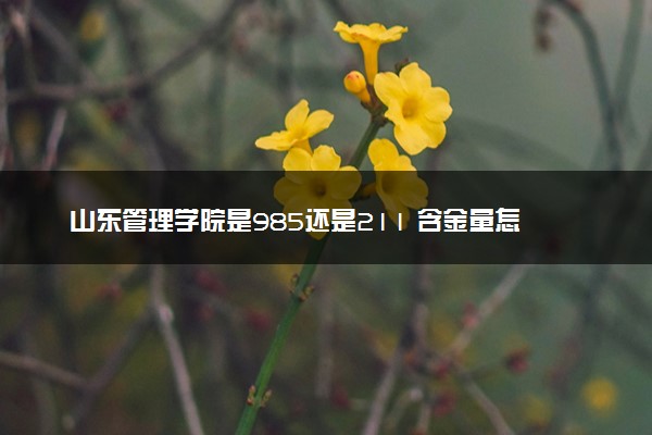 山东管理学院是985还是211 含金量怎么样