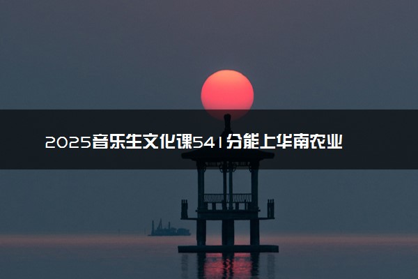 2025音乐生文化课541分能上华南农业大学吗