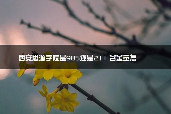 西安思源学院是985还是211 含金量怎么样