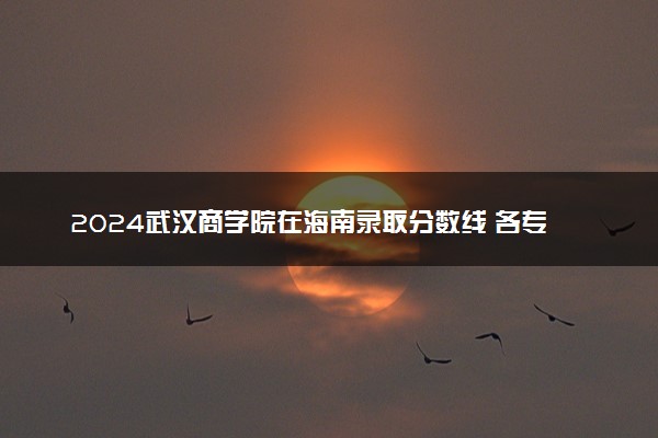 2024武汉商学院在海南录取分数线 各专业分数及位次