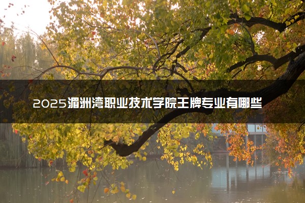 2025湄洲湾职业技术学院王牌专业有哪些 最好的专业是什么