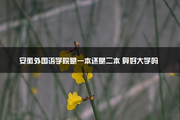 安徽外国语学院是一本还是二本 算好大学吗