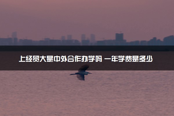 上经贸大是中外合作办学吗 一年学费是多少