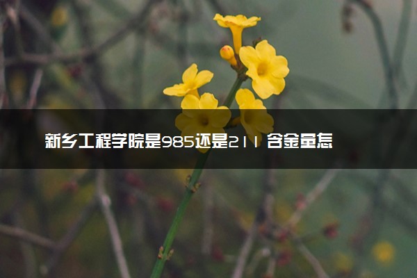 新乡工程学院是985还是211 含金量怎么样