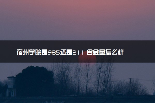 宿州学院是985还是211 含金量怎么样