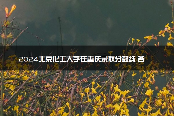 2024北京化工大学在重庆录取分数线 各专业分数及位次