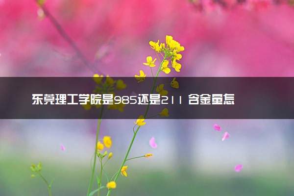 东莞理工学院是985还是211 含金量怎么样