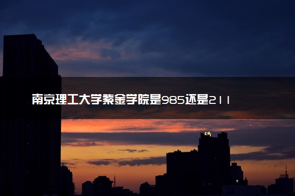 南京理工大学紫金学院是985还是211 含金量怎么样