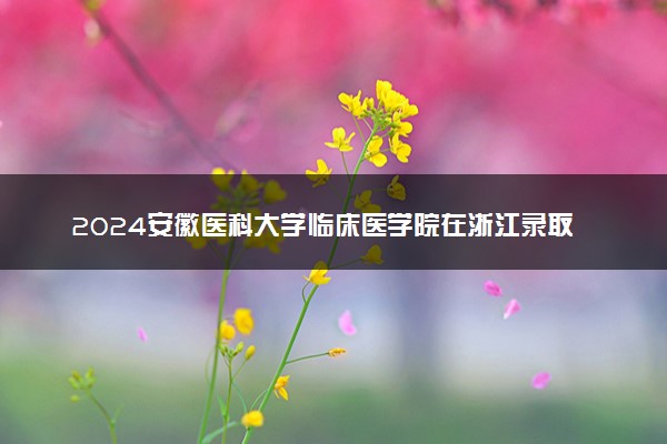 2024安徽医科大学临床医学院在浙江录取分数线 各专业分数及位次
