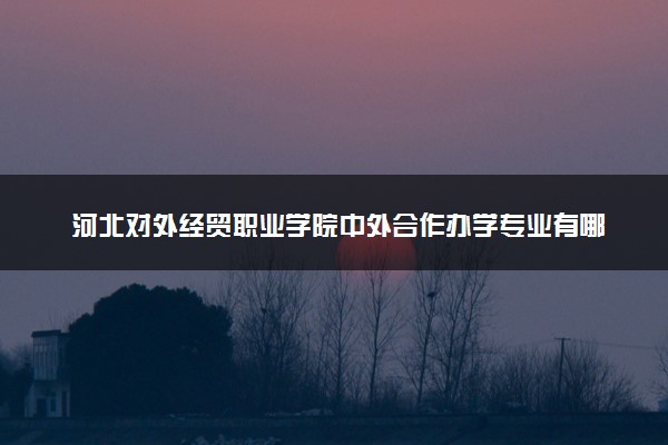 河北对外经贸职业学院中外合作办学专业有哪些 好就业吗