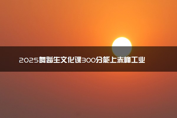 2025舞蹈生文化课300分能上赤峰工业职业技术学院吗
