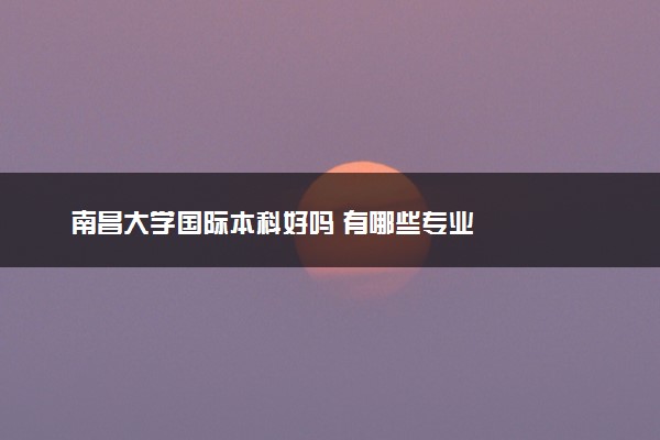 南昌大学国际本科好吗 有哪些专业