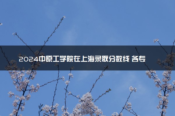 2024中原工学院在上海录取分数线 各专业分数及位次