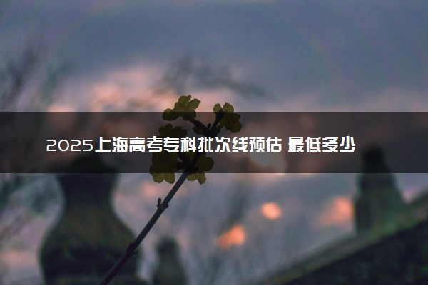 2025上海高考专科批次线预估 最低多少分录取