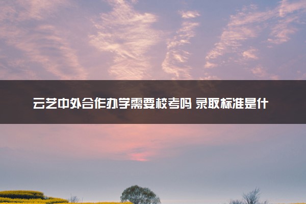 云艺中外合作办学需要校考吗 录取标准是什么