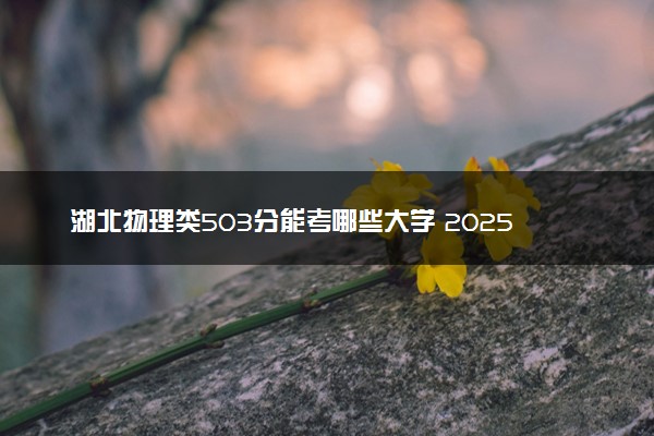 湖北物理类503分能考哪些大学 2025考生稳上的大学名单
