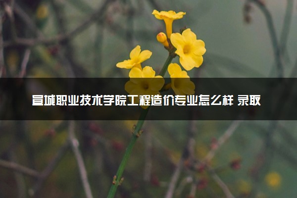 宣城职业技术学院工程造价专业怎么样 录取分数线多少
