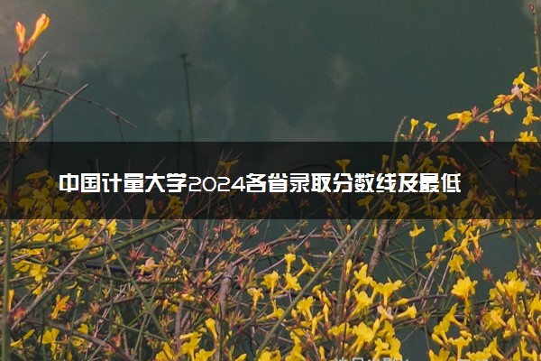 中国计量大学2024各省录取分数线及最低位次是多少