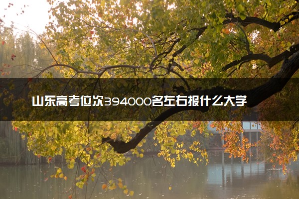 山东高考位次394000名左右报什么大学好（2025年参考）