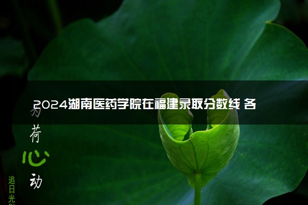 2024湖南医药学院在福建录取分数线 各专业分数及位次