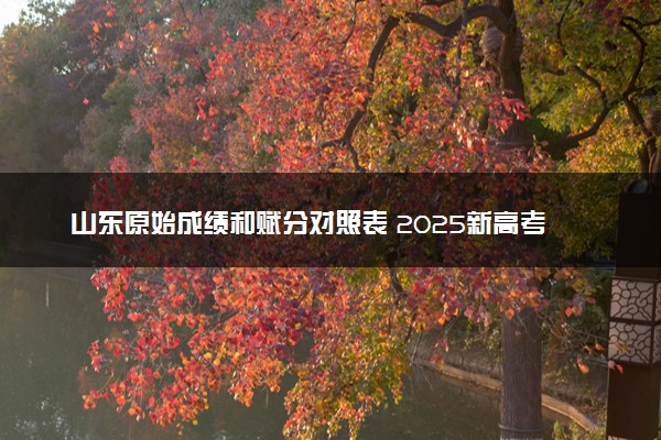 山东原始成绩和赋分对照表 2025新高考赋分计算公式