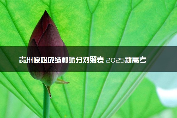 贵州原始成绩和赋分对照表 2025新高考赋分计算公式