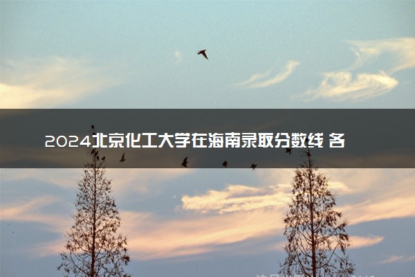 2024北京化工大学在海南录取分数线 各专业分数及位次