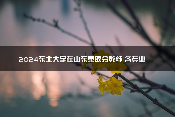 2024东北大学在山东录取分数线 各专业分数及位次