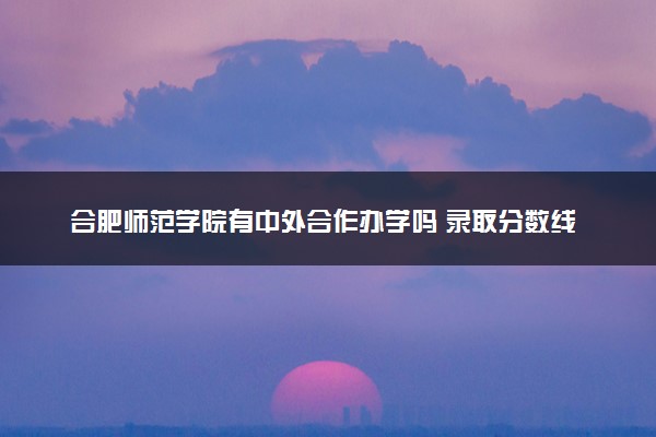 合肥师范学院有中外合作办学吗 录取分数线是多少