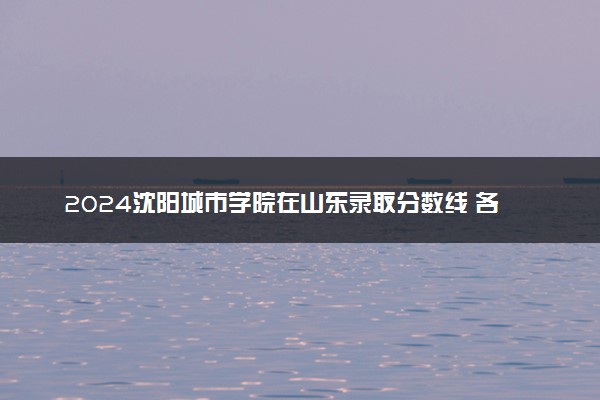 2024沈阳城市学院在山东录取分数线 各专业分数及位次