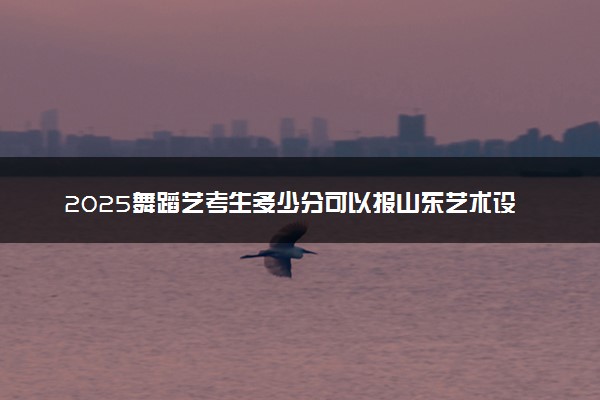 2025舞蹈艺考生多少分可以报山东艺术设计职业学院