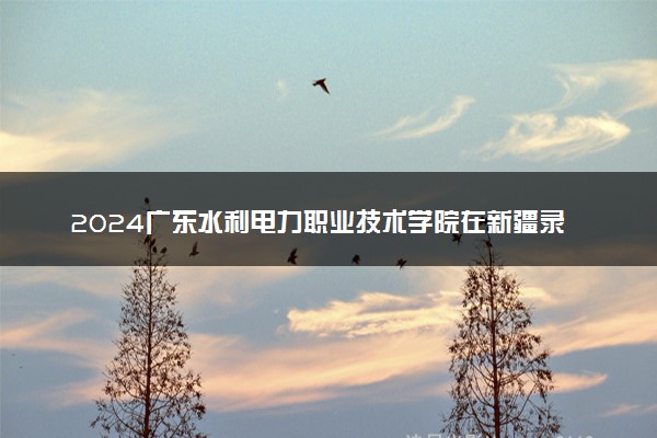 2024广东水利电力职业技术学院在新疆录取分数线 各专业分数及位次