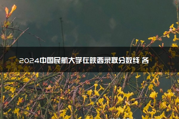 2024中国民航大学在陕西录取分数线 各专业分数及位次