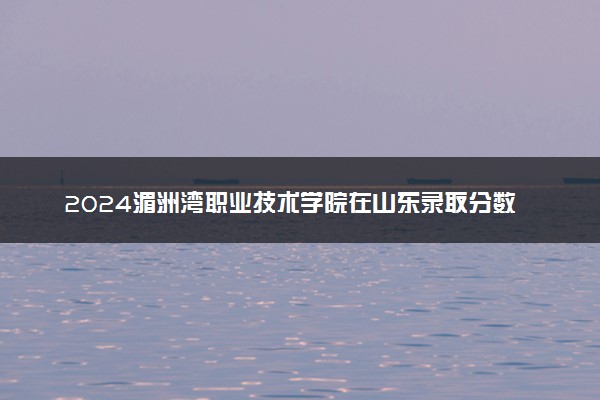 2024湄洲湾职业技术学院在山东录取分数线 各专业分数及位次